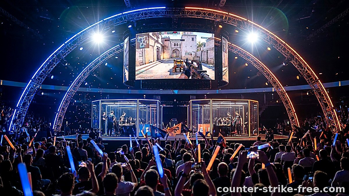 Niko Reaper: The Rise of a CS2 Star